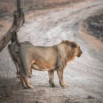 Business breaking into new territories